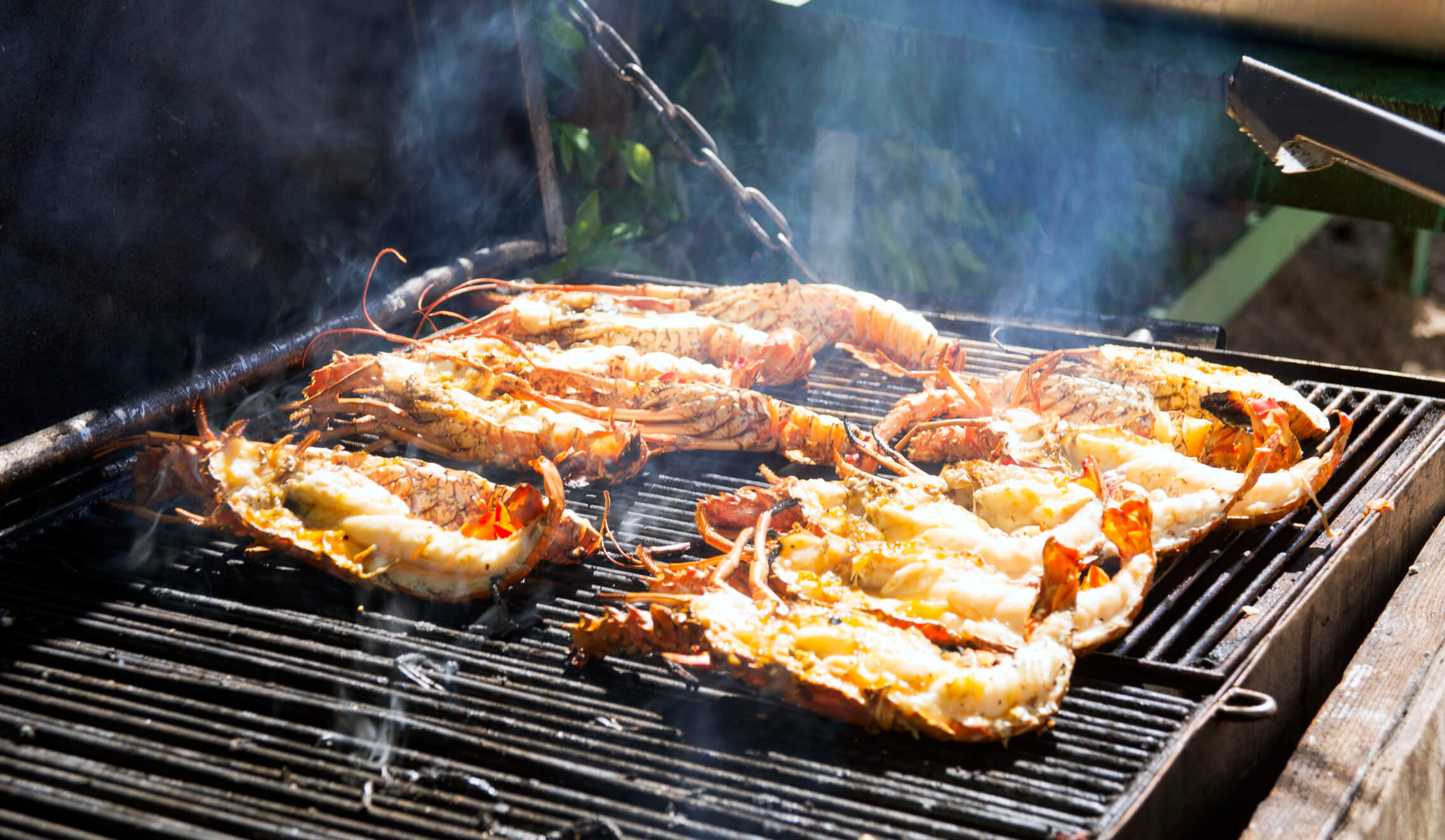 Lobster season in Mexico, caribbean lobsters on the grill