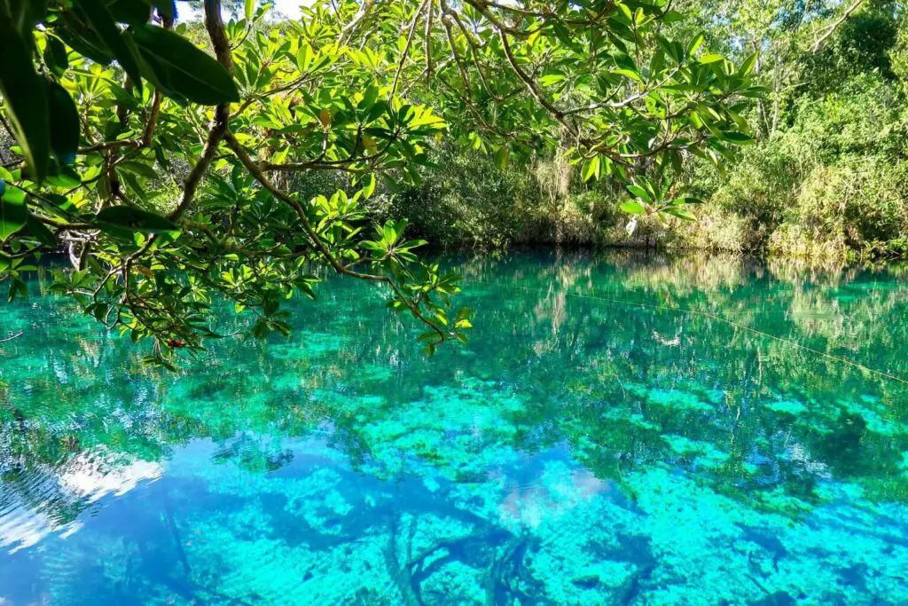 Discover the Best Cenotes Near Puerto Aventuras - 2024