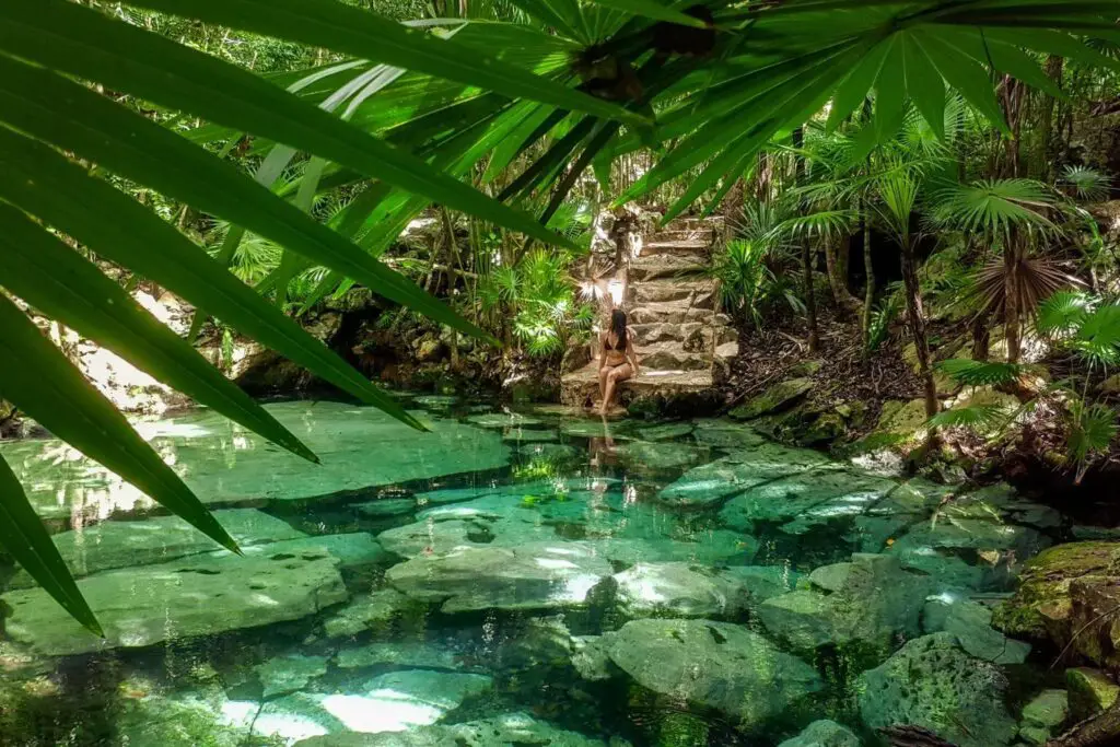 Discover the Best Cenotes Near Puerto Aventuras - 2024