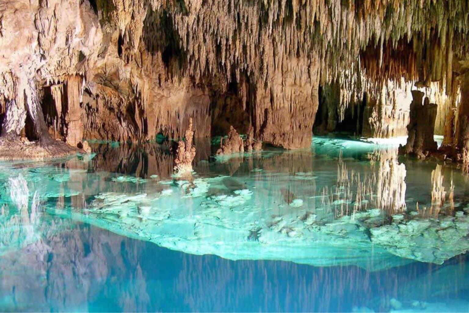 Inside a cenote with beautiful clear water.