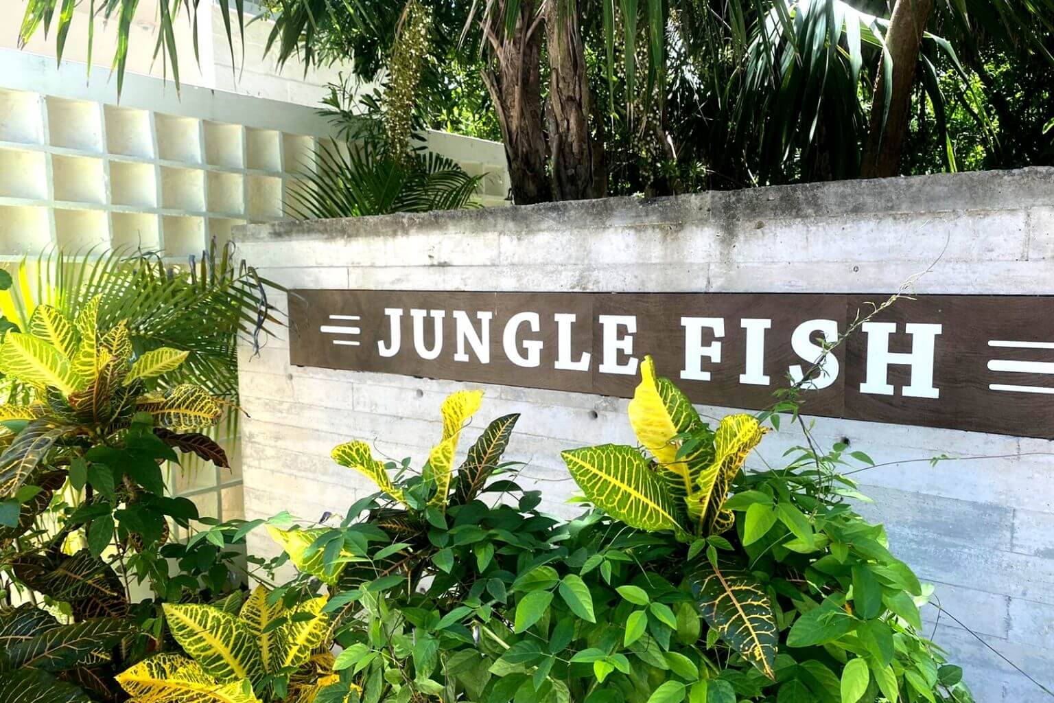 Jungle Fish Beach Club 22
