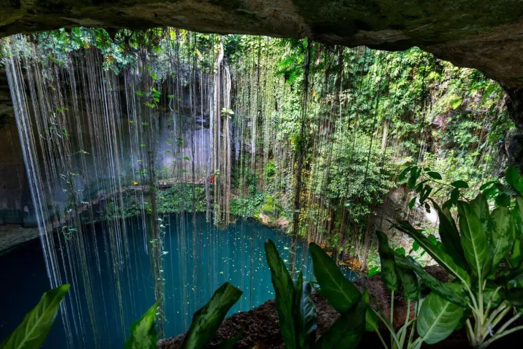 Discover the Best Cenotes Near Puerto Aventuras - 2024