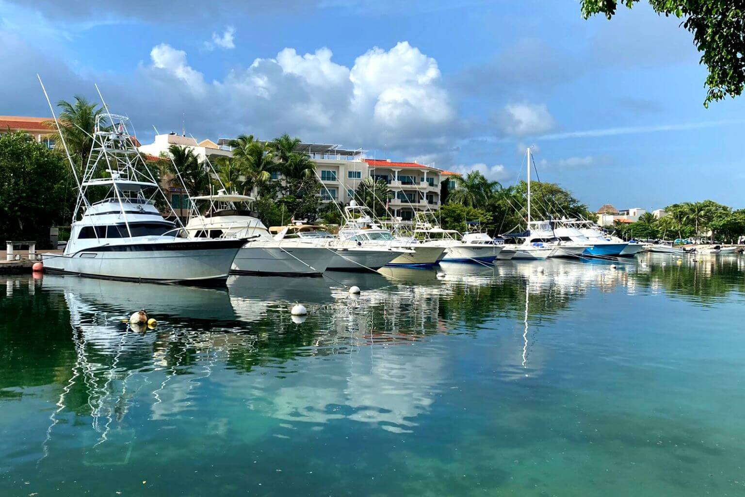 Deep Sea Fishing from Puerto Aventuras marina