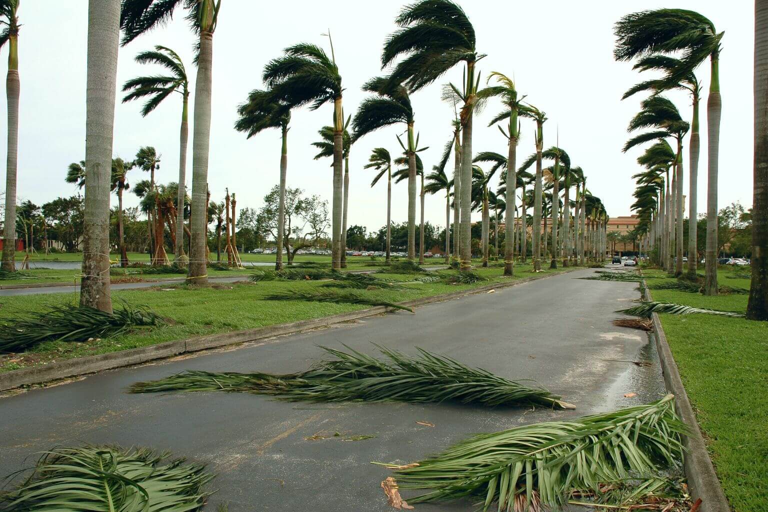 Hurricane Season Puerto Aventuras