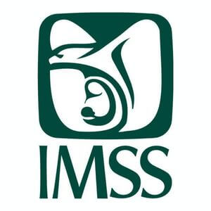 IMSS Hospital logo
