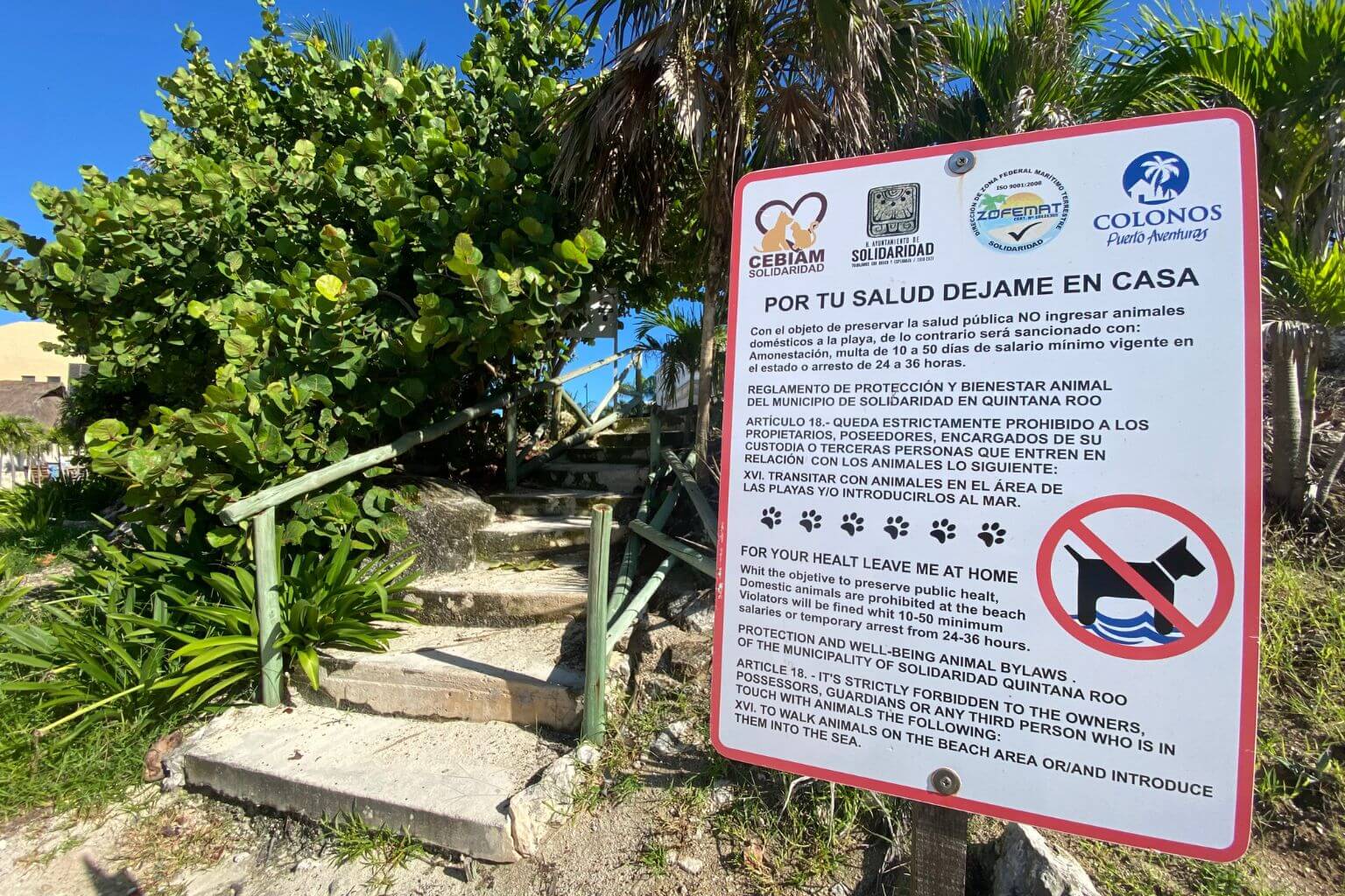 No Pets on Puerto Aventuras beaches