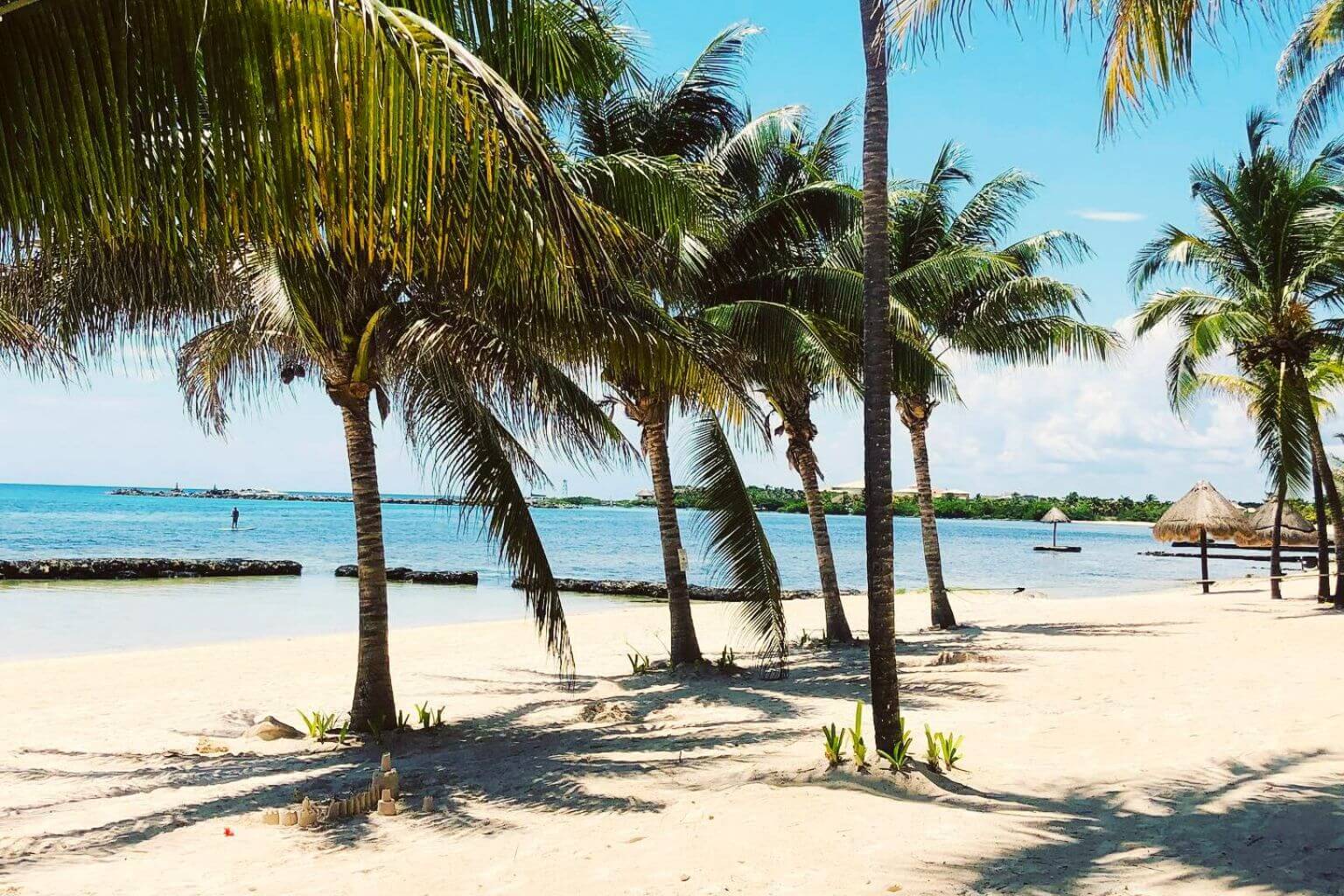 Palm trees on the beach at Fatima Bay, Puerto Aventuras
