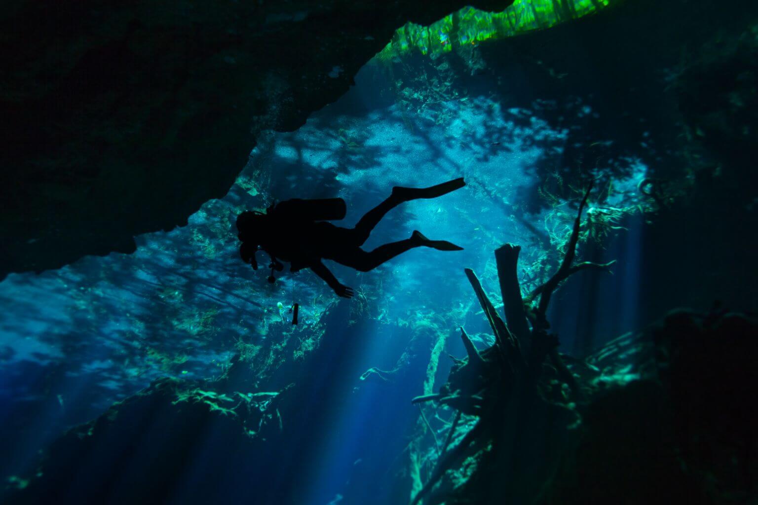 Diver pictured in a cenote.