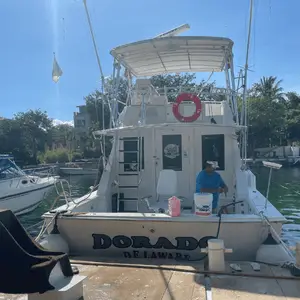 Dorado fishing charter in Puerto Aventuras Marina