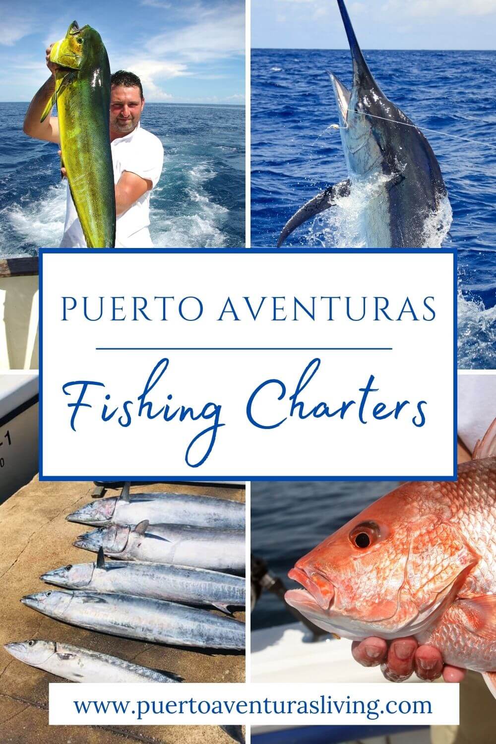 Different fish being caught on boats from Puerto Aventuras
