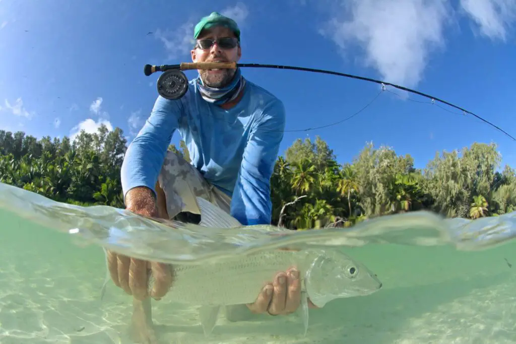 fly fisherman with bonefish