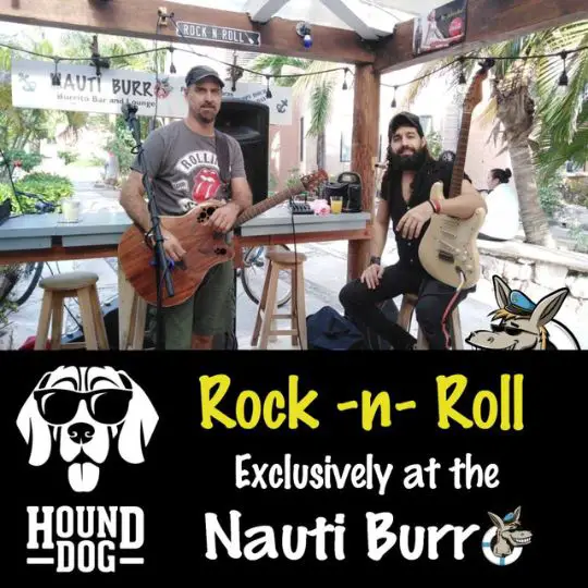 Hound Dog at Nauti Burro