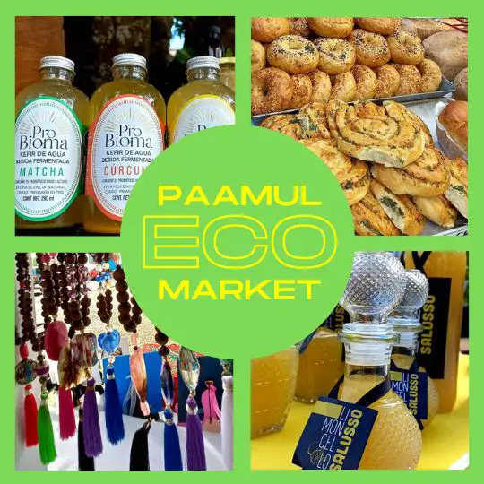 Paamul Eco Market poster