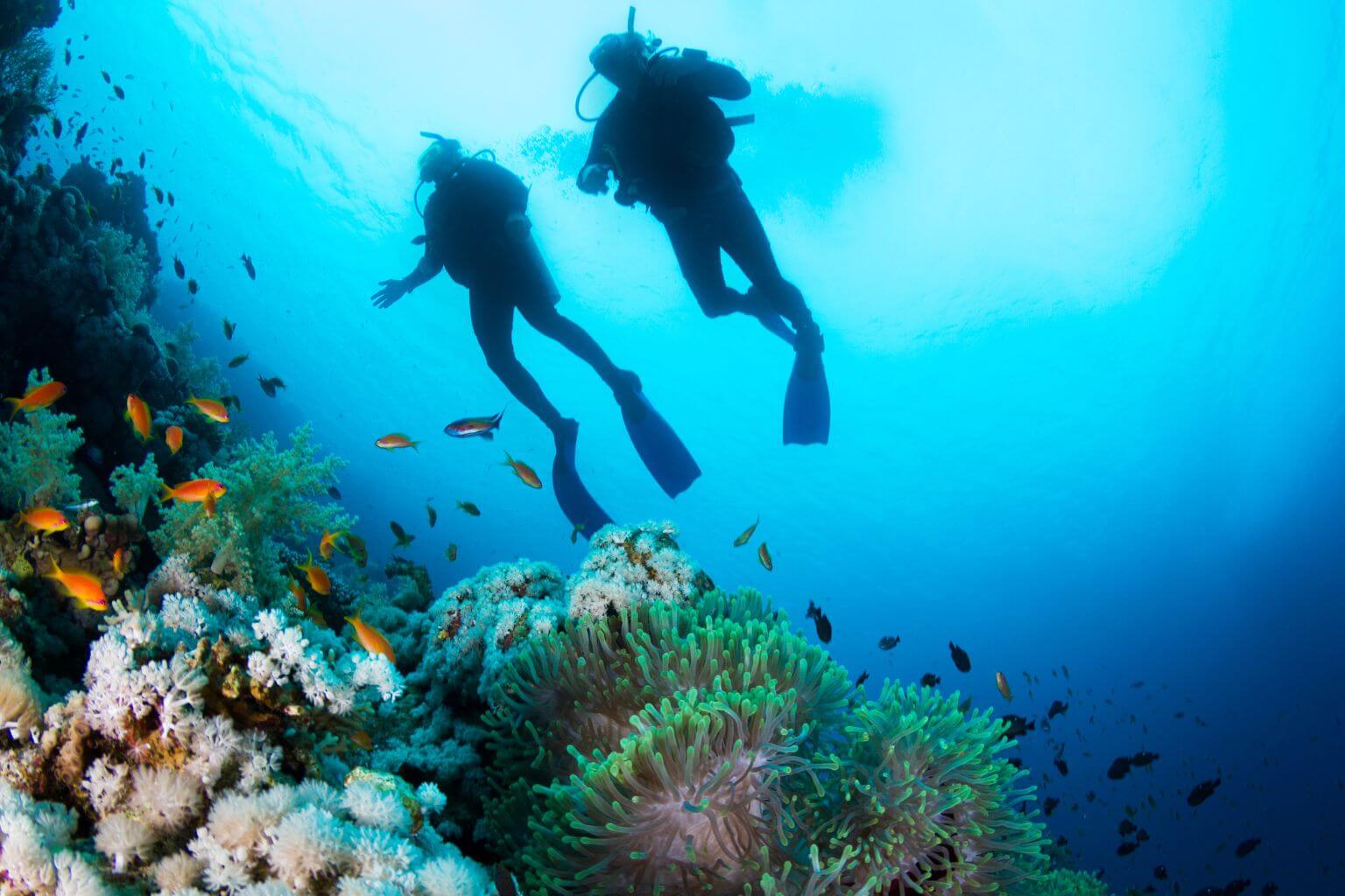 SCUBA Diving Puerto Aventuras