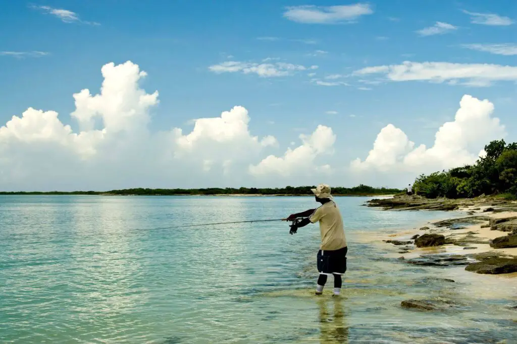 Man fishing from shore