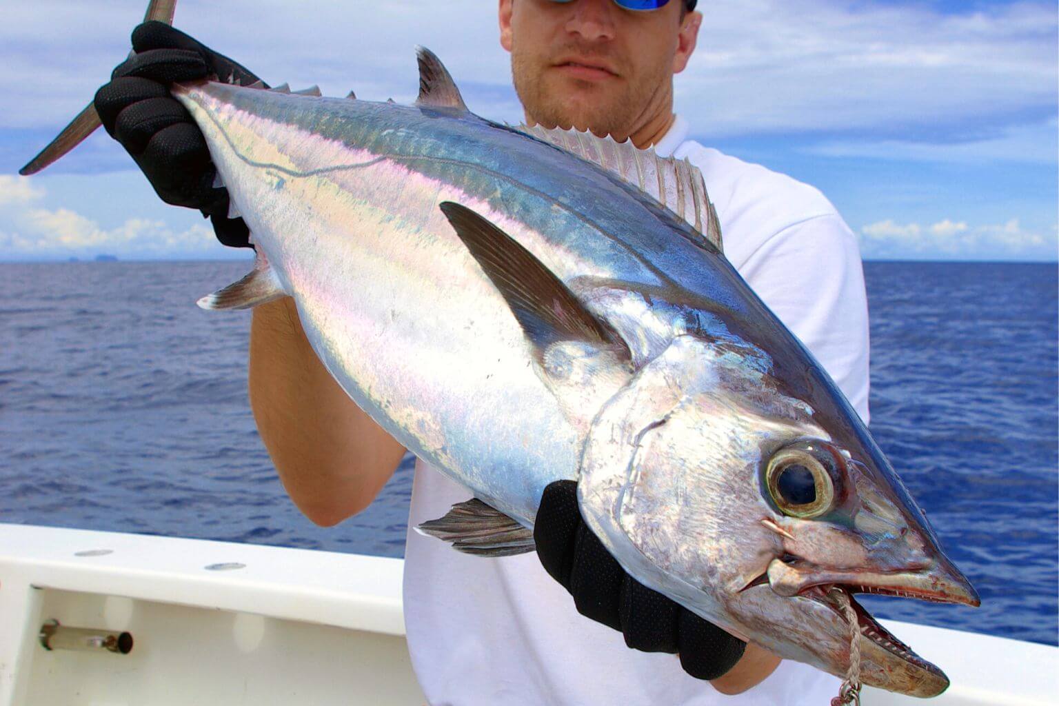 Sport Fishing Puerto Aventuras