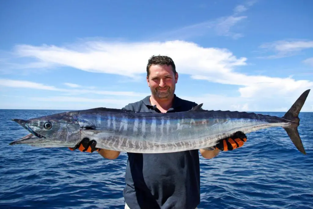 fisherman with wahoo