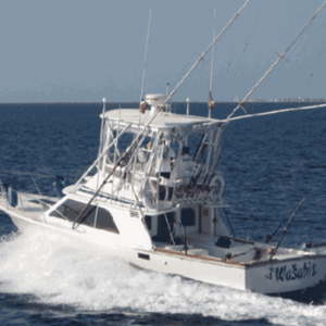 Wasabi fishing charter at sea