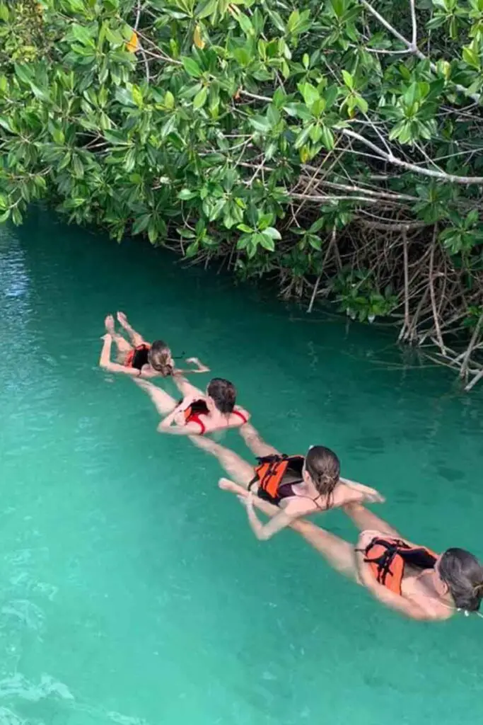 the muyil float through the mangroves