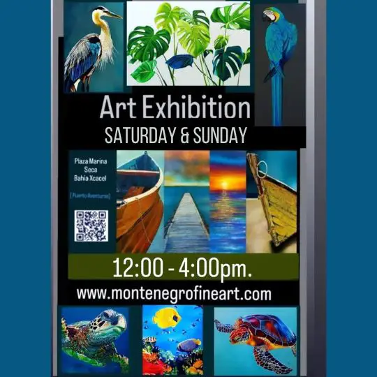 art exposition and sale in the marina seca puerto aventuras