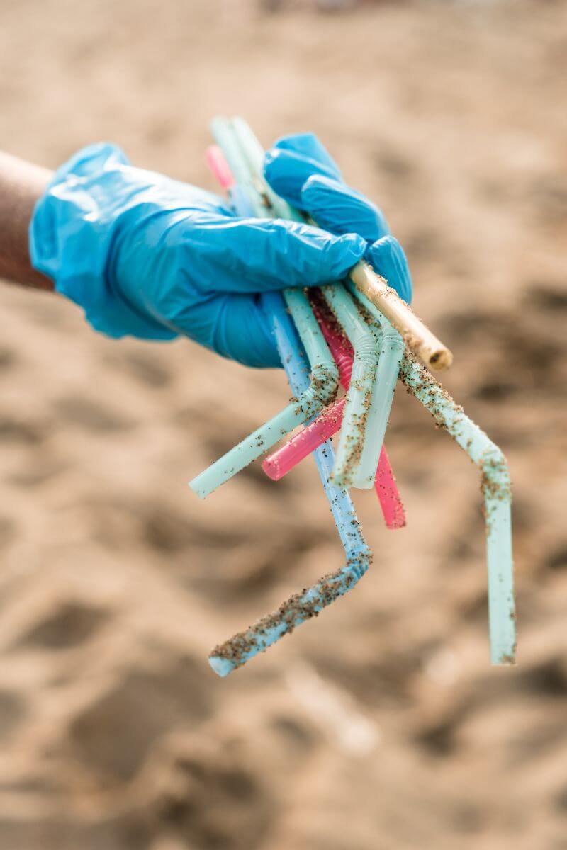 A hand in a blue glove collecting plastic straws from a beach. This can help in saving the mesoamerican reef