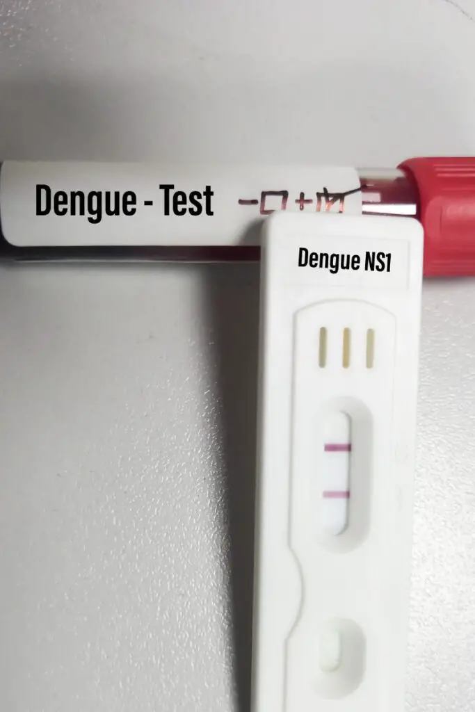 blood test for dengue