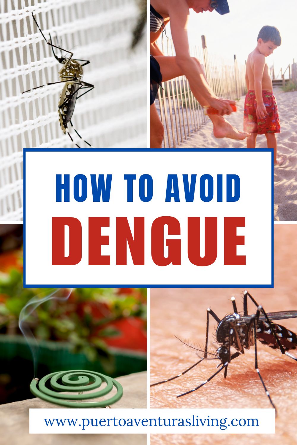 How to Avoid Dengue pin