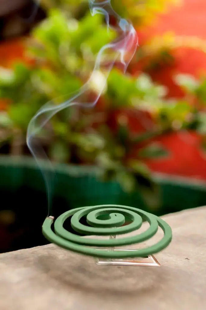 mosquito coil burning