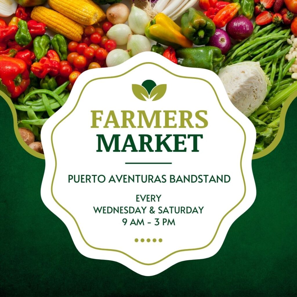 Farmers Market at The PA Bandstand Puerto Aventuras Living
