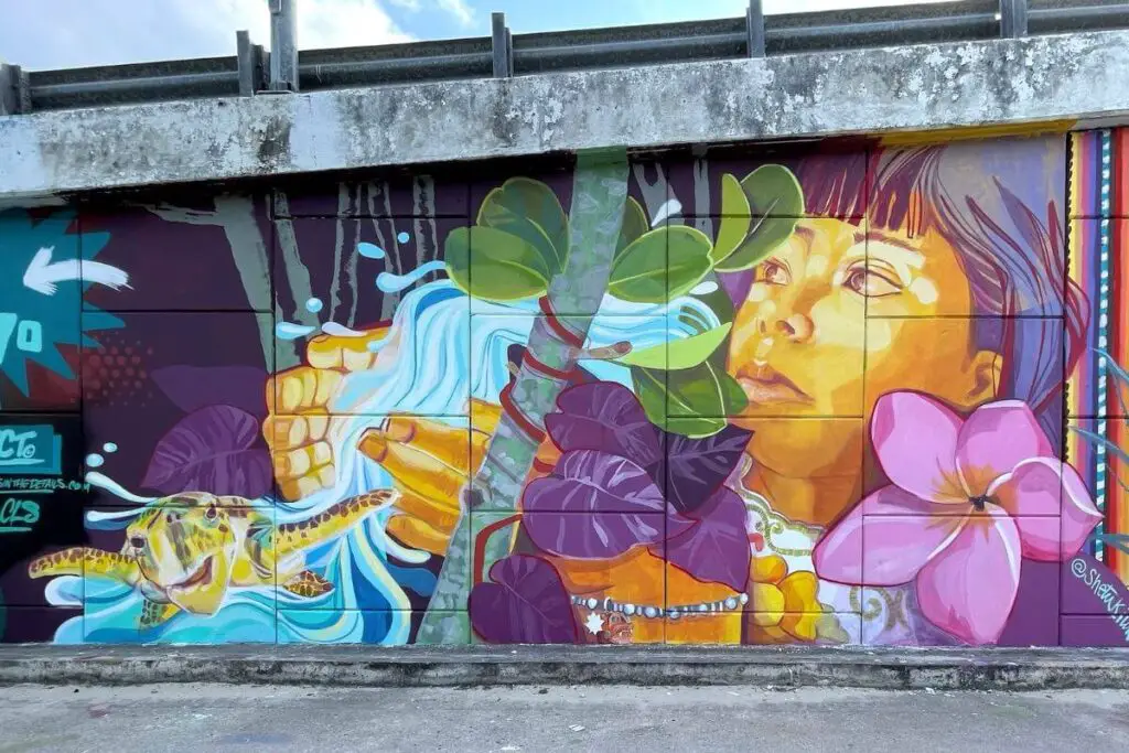 mural from the akumal arts festival