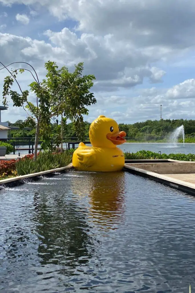 Grand Outlet Riviera Maya Mall in Cancun 25