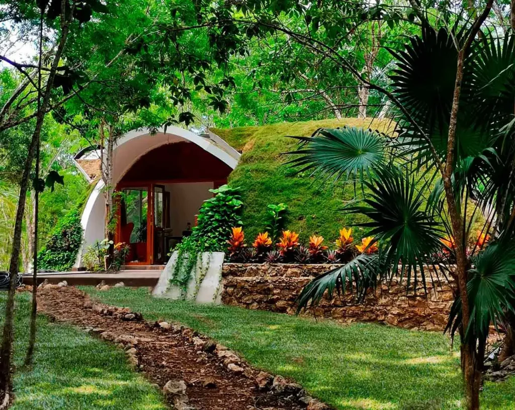 How to Lower Your CFE Bill: Energy-Saving & Solar Tips for the Riviera Maya 3 how to lower your cfe bill with a green roof