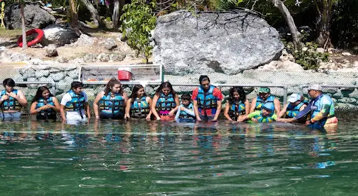 A Newborn Dolphin in Puerto Aventuras Raises Big Questions 2 dolphin discovery in puerto aventuras